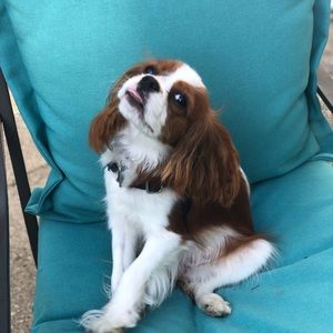 Meet your Posher, Vicky